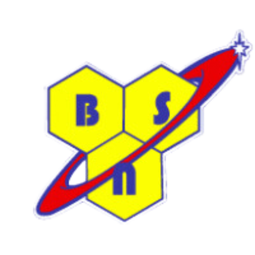 BSN