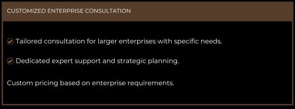 CUSTOMIZED ENTERPRISE CONSULTATION